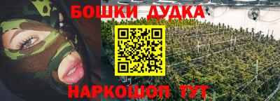 шишки Аргун