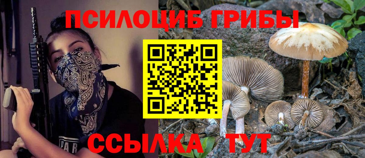 Выборг  даркнет сайт  Вход с VPN  Галлюциногенные грибы прущие грибы 