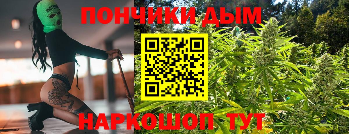 Конопля SATIVA & INDICA  Бошки Шишки конопля  Вход с VPN  Марихуана OG Kush  Выборг  Конопля White Widow 
